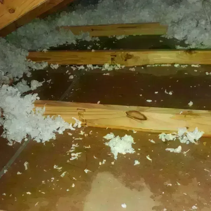 Attic Water Damage in Colchester, VT